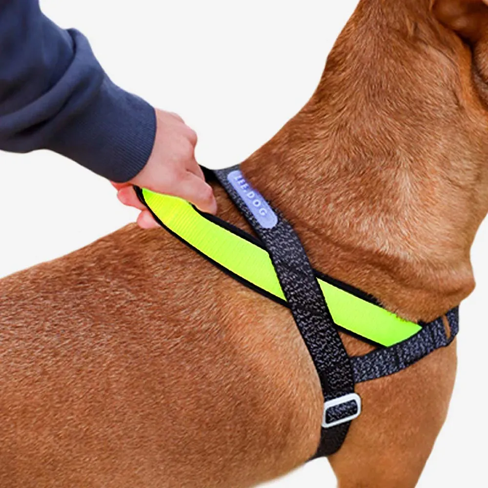 Zee.Dog Softer Walk Nox Reflective Dog Harness Large^^^